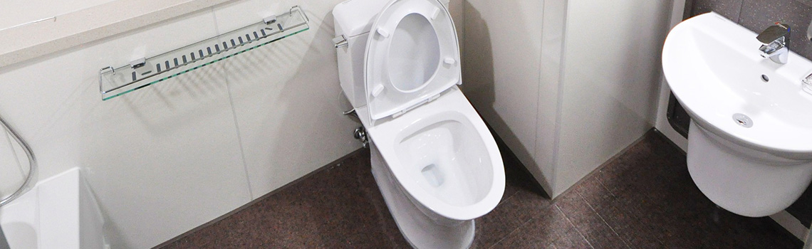 Toilet Plumbing, REI Plubing Magnolia Texas